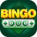 Bingo 101 Apk Download | Bonus 25 logo